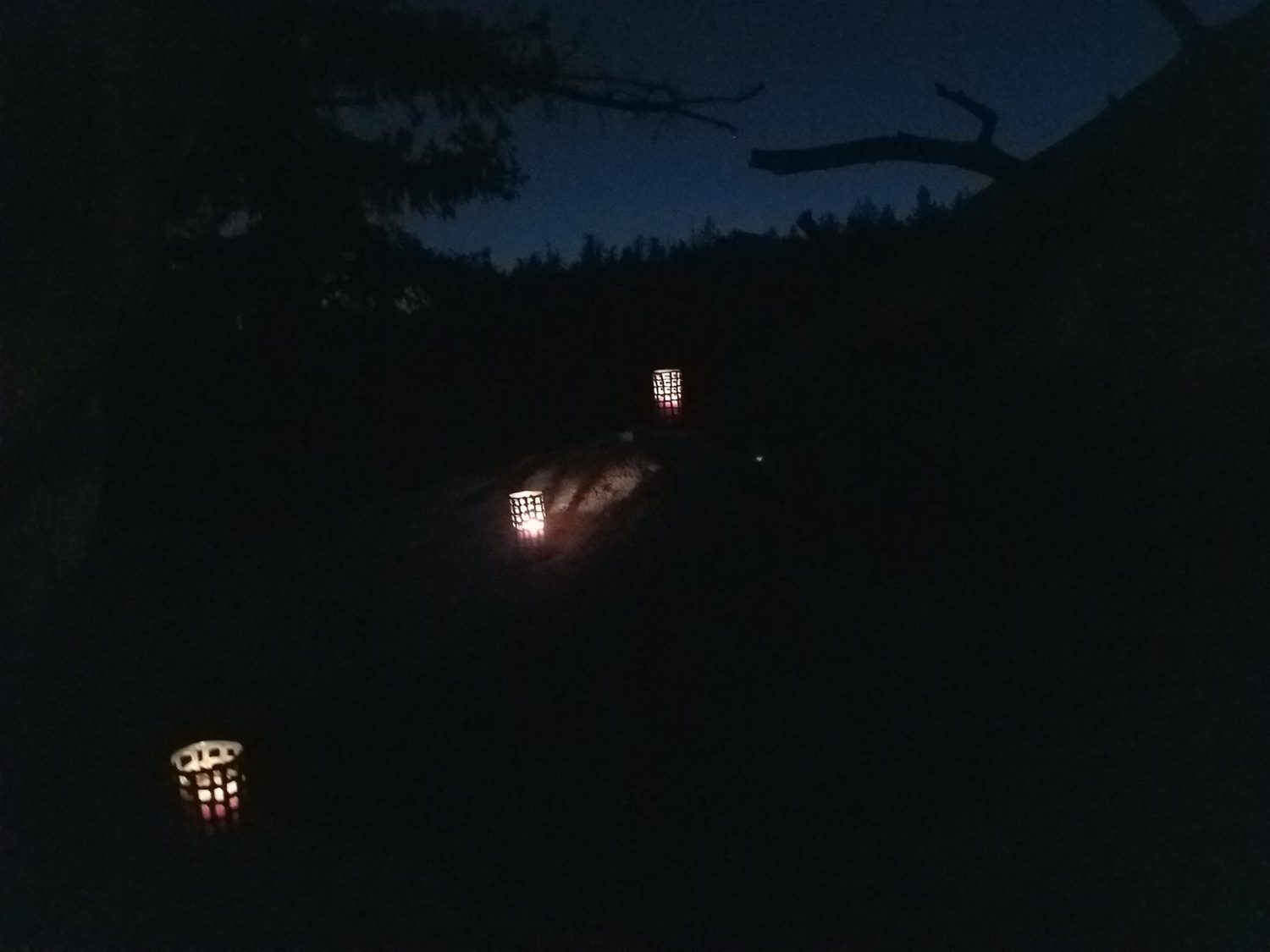 The Boanthropic Lead us Up the Mountain and Urge us to Save The Moon Child - The Society - Immersive Theater - Trans-media on-going immersive experience ARX