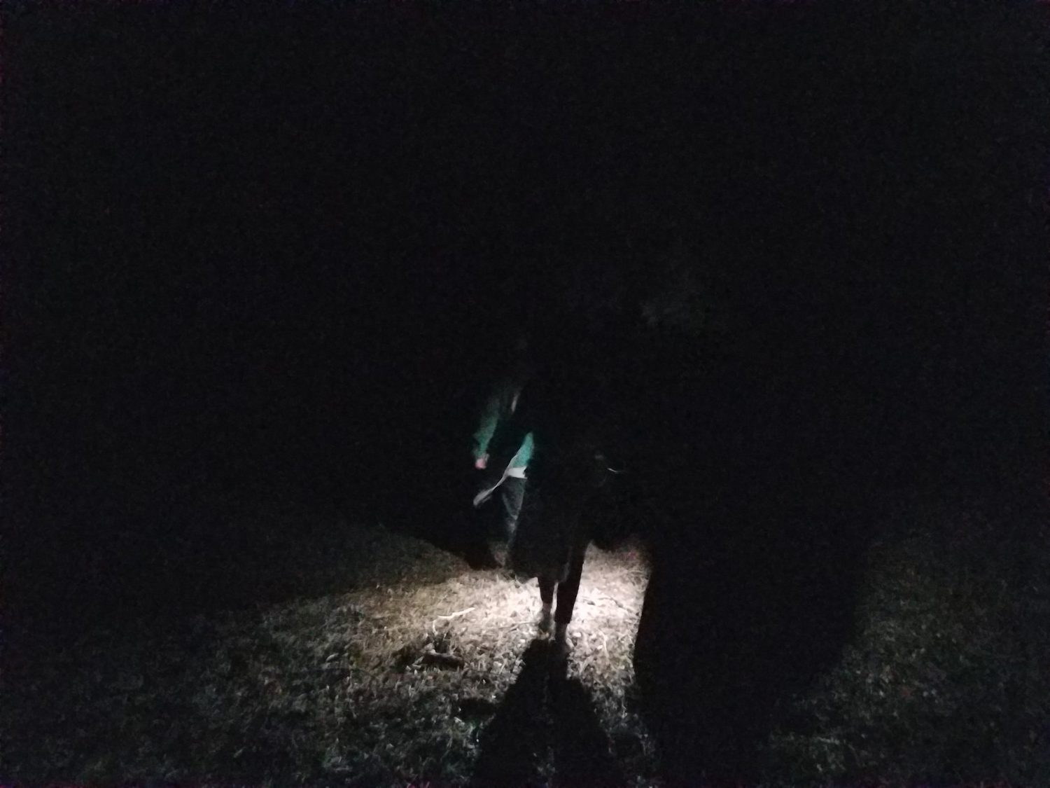 The Boanthropic Lead us Up the Mountain and Urge us to Save The Moon Child - The Society - Immersive Theater - Trans-media on-going immersive experience ARX