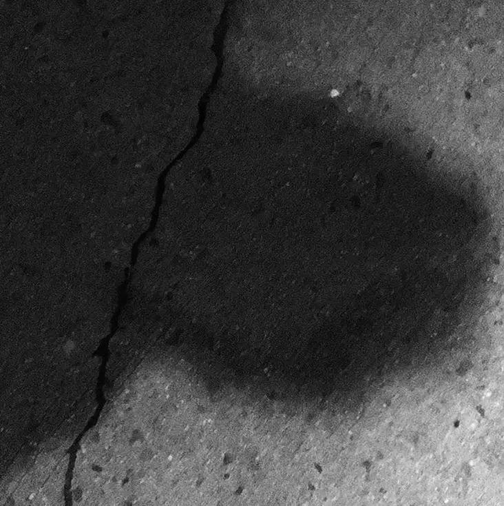 An Interview with Evan Neiden of Candle House Collective's lastcandlearx