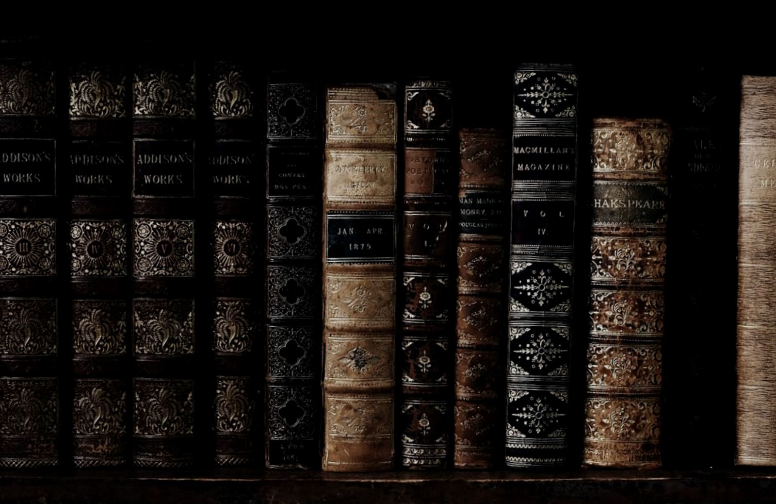 Immersed Logo for Pages
