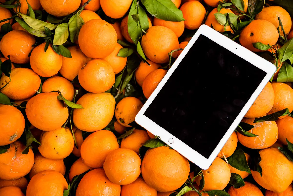 on the serenity of oranges | Candle House Collective | Help Series